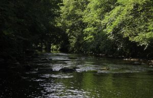 Linlithgow Angling Club