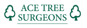 Ace Tree Surgeons