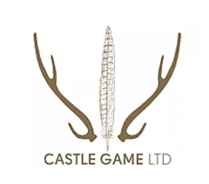 Castle Game