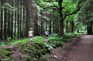 Forth Valley Orienteers
