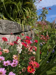 Guy Ballantyne Garden Designs